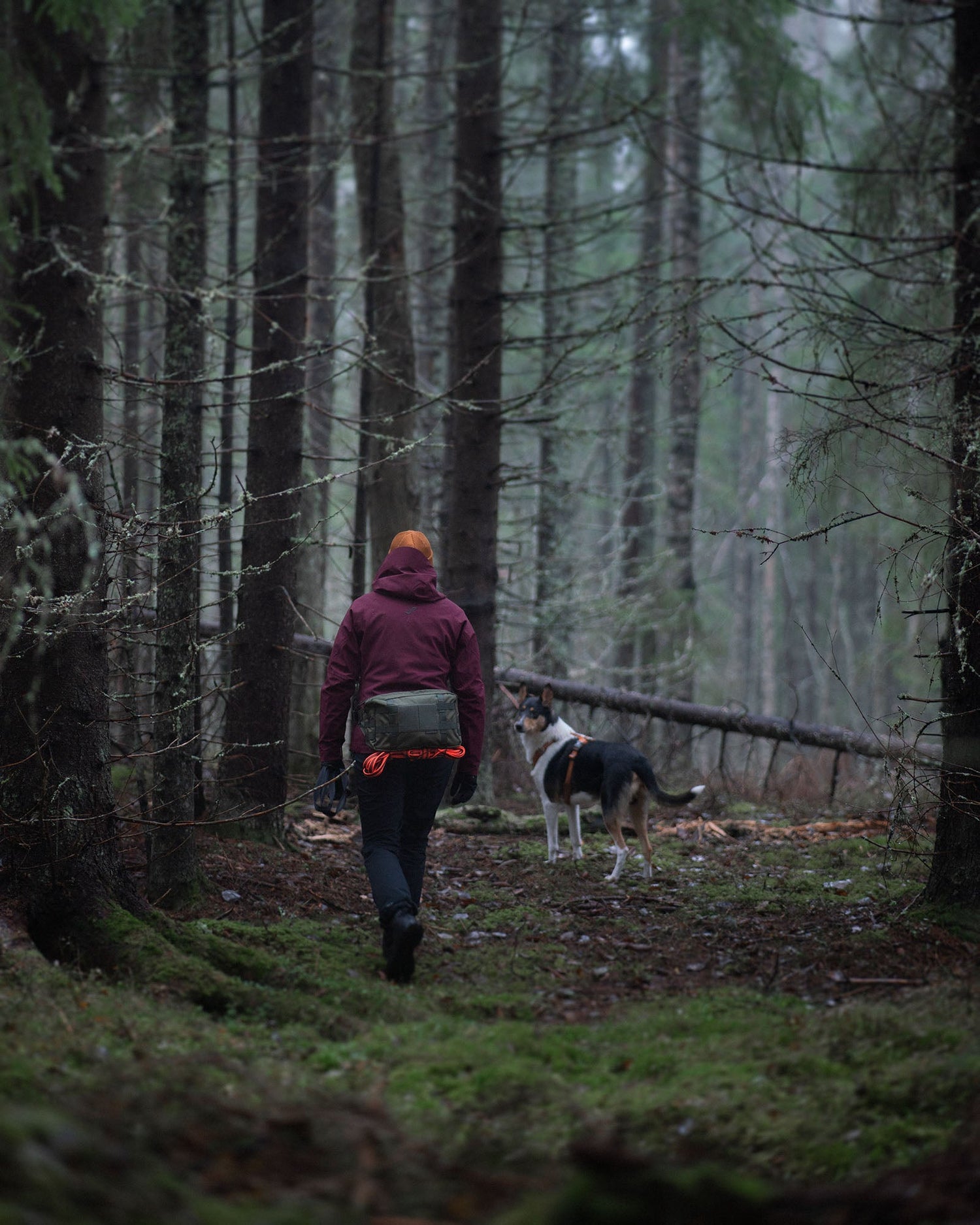 Askare hip pack